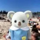 用户头像