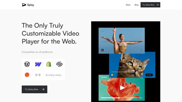 Skara Video Player