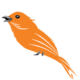 SMARTBIRD