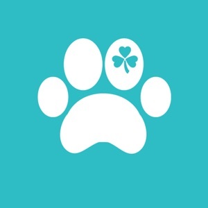 Mergeek 发现好产品 Bark Around Ireland