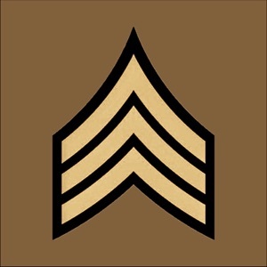 Mergeek 发现好产品 Army Promotion Board Prep