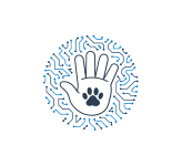 RiseON Suite - AI-Powered Career Growth & Interactive Resume
