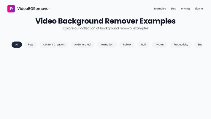 VideoBGRemover