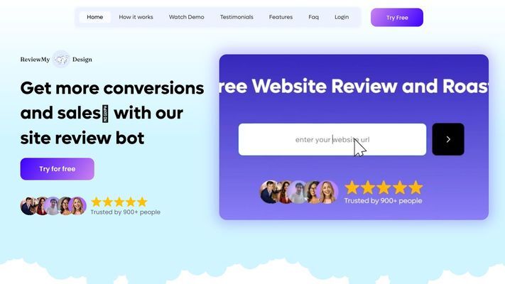 website review and site roast