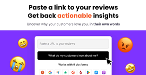 Mine My Reviews