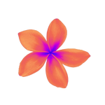 Plumeria