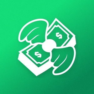 Mergeek 发现好产品 Money Manager App*