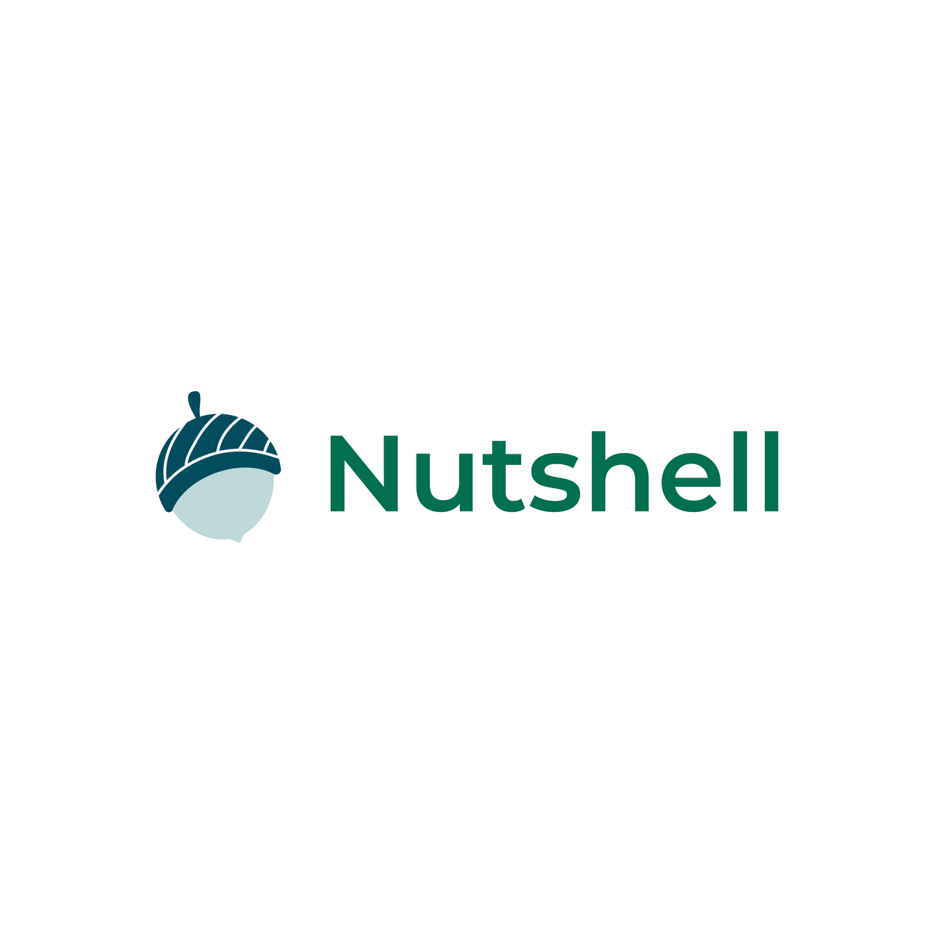 Nutshell Summaries | summarize youtube video
