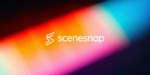 SceneSnap