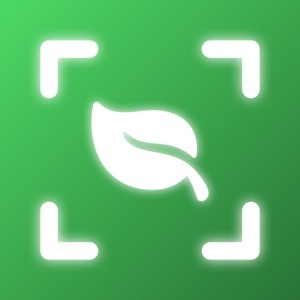 Mergeek 发现好产品 What Plant Is This° Plantastic