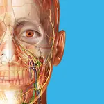 Human Anatomy Atlas 2026图标