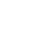 Arnold AI