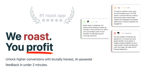 Roast My Landing Page | Quick, Affordable Insights That Will Skyrocket Your Conversions