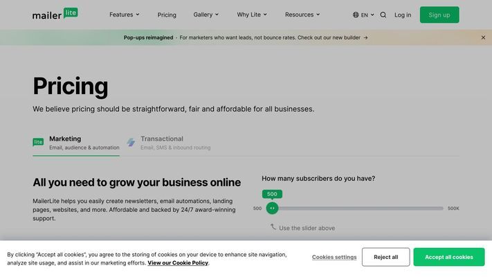 Create Email Marketing Your Audience Will Love - MailerLite