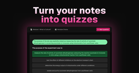 Zenquiz.app | AI generated quizzes
