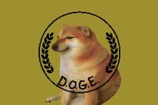 一名DOGE员工违反财政部政策，通过电子邮件发送未加密的私人数据