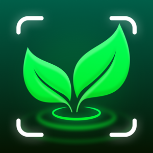 Mergeek 发现好产品 Plant Identifier - Planteo