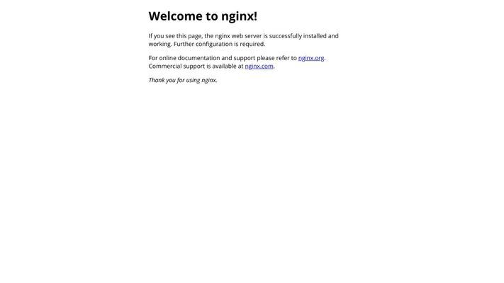 nginx(如果是指服务器软件,直接为"nginx")
