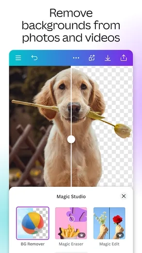 ...
