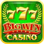 Big Win - Slots Casino™图标