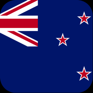 Mergeek 发现好产品 New Zealand Driving Theory