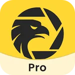WikiFX-Broker Regulatory APP图标